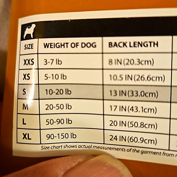 DOG OR CAT PET SWEATER. NIB Turquoise with the words "SPOILED" on it. Small - Picture 6 of 9